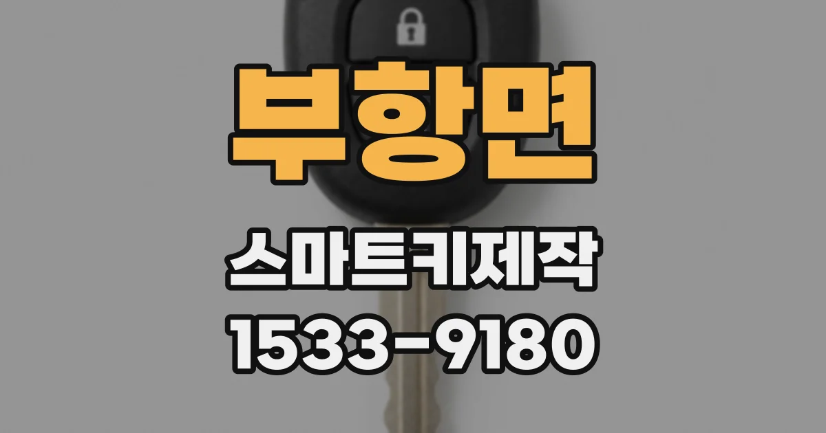 부항면 스마트키제작