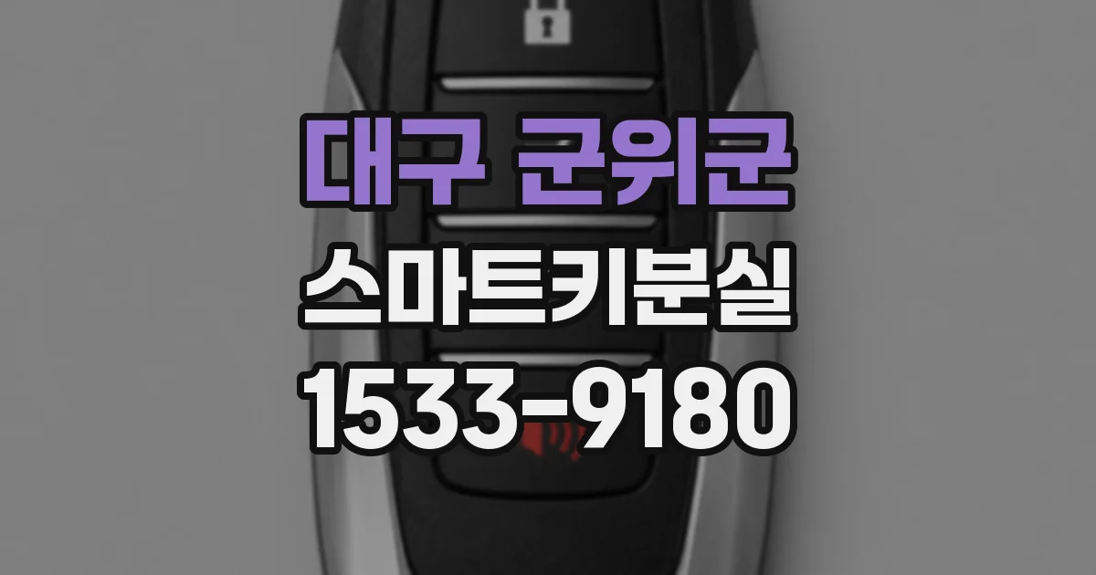 대구 군위군 스마트키분실