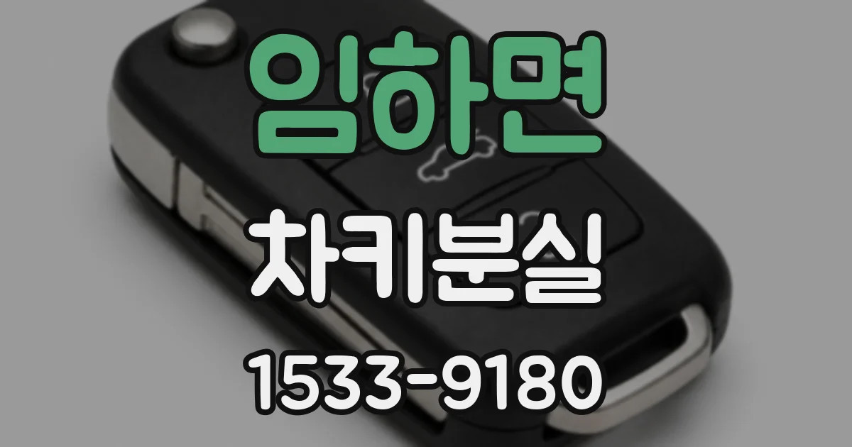 임하면 차키분실