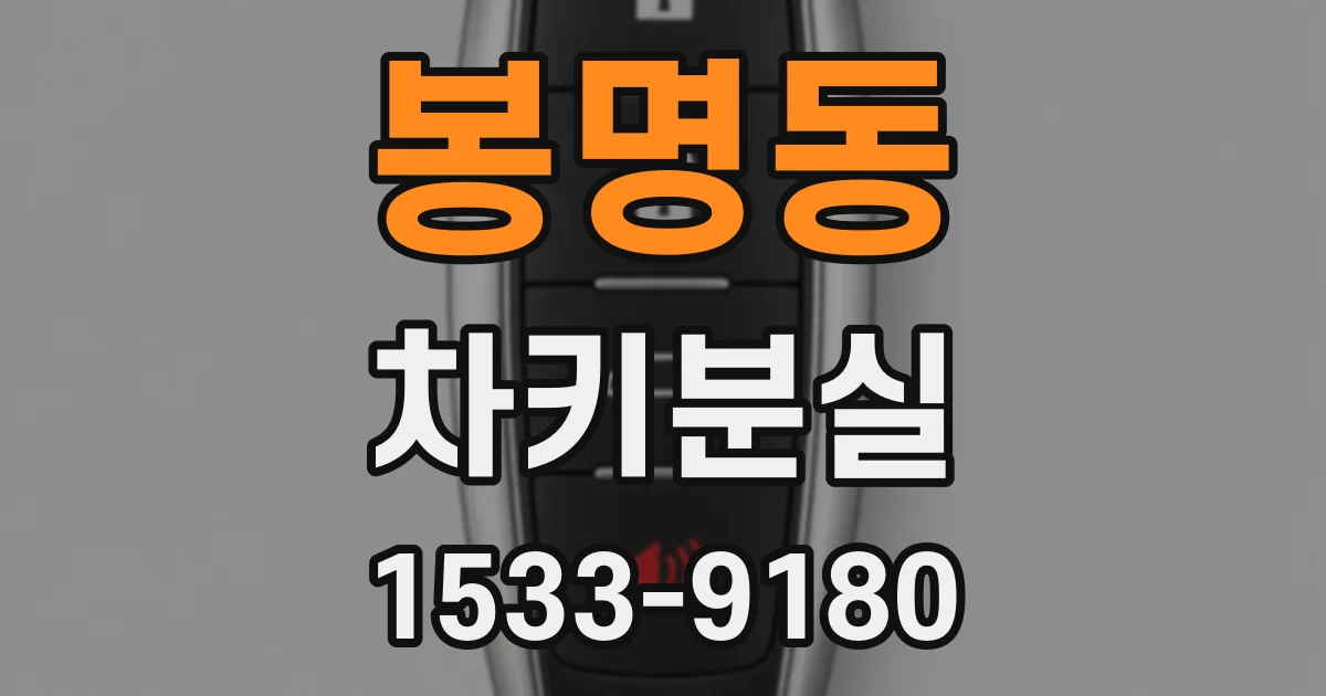 봉명동 차키분실