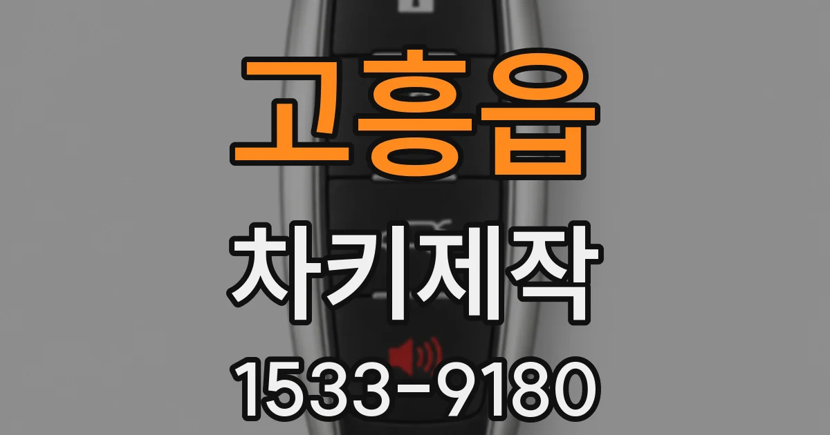 고흥읍 차키제작