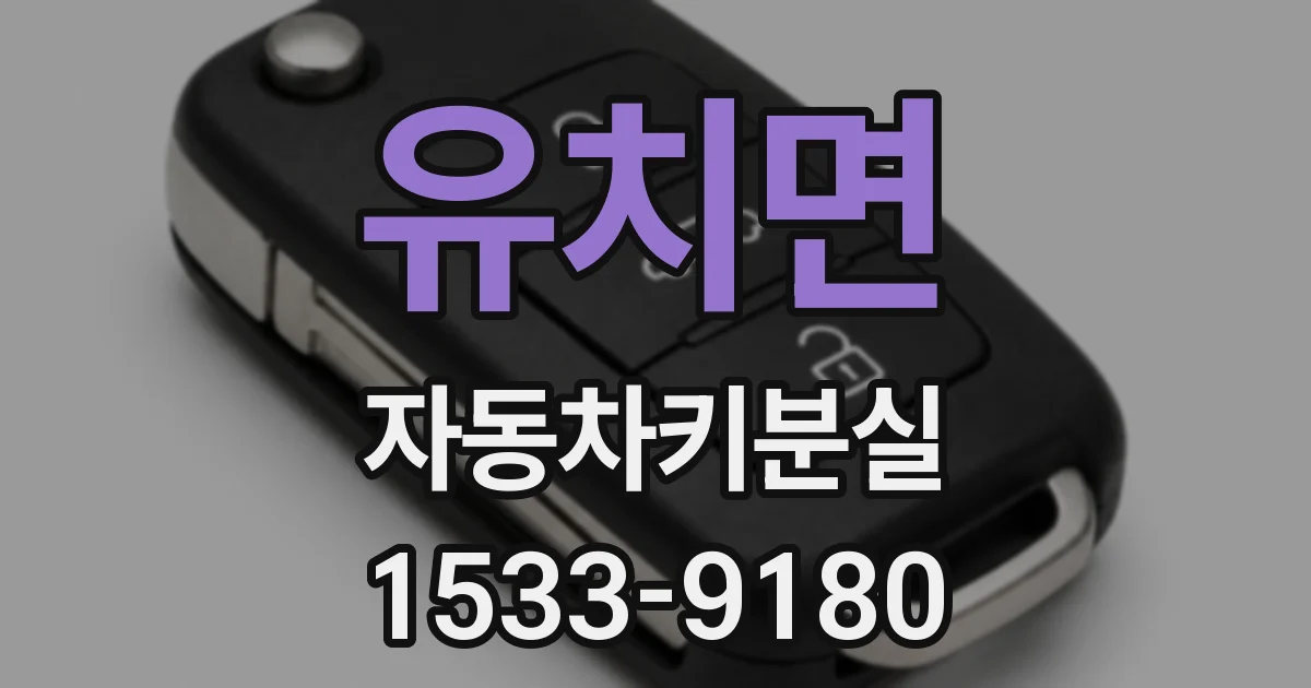 유치면 자동차키분실