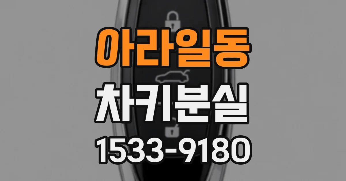 아라일동 차키분실