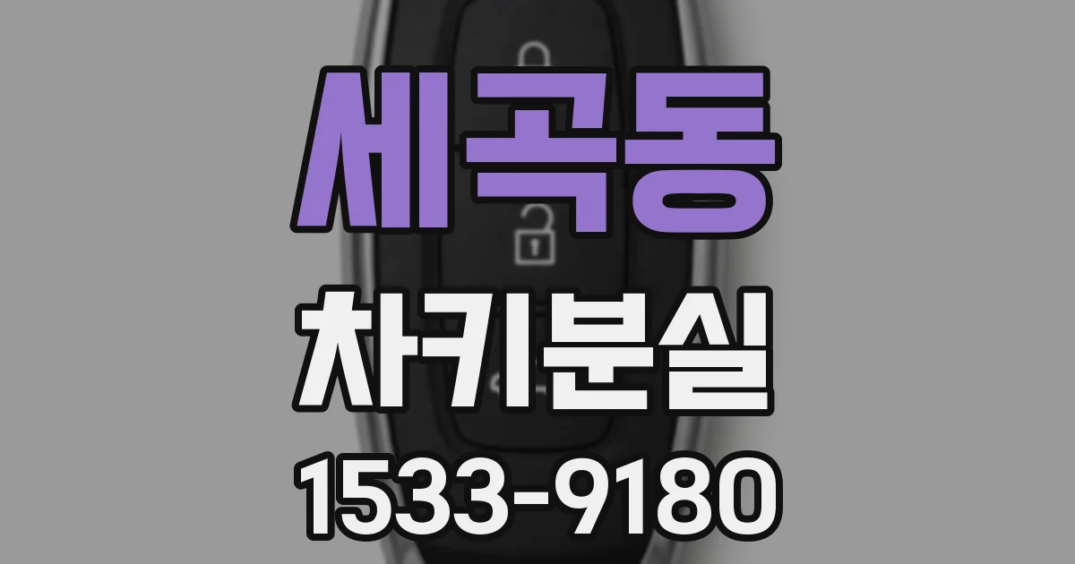 세곡동 차키분실