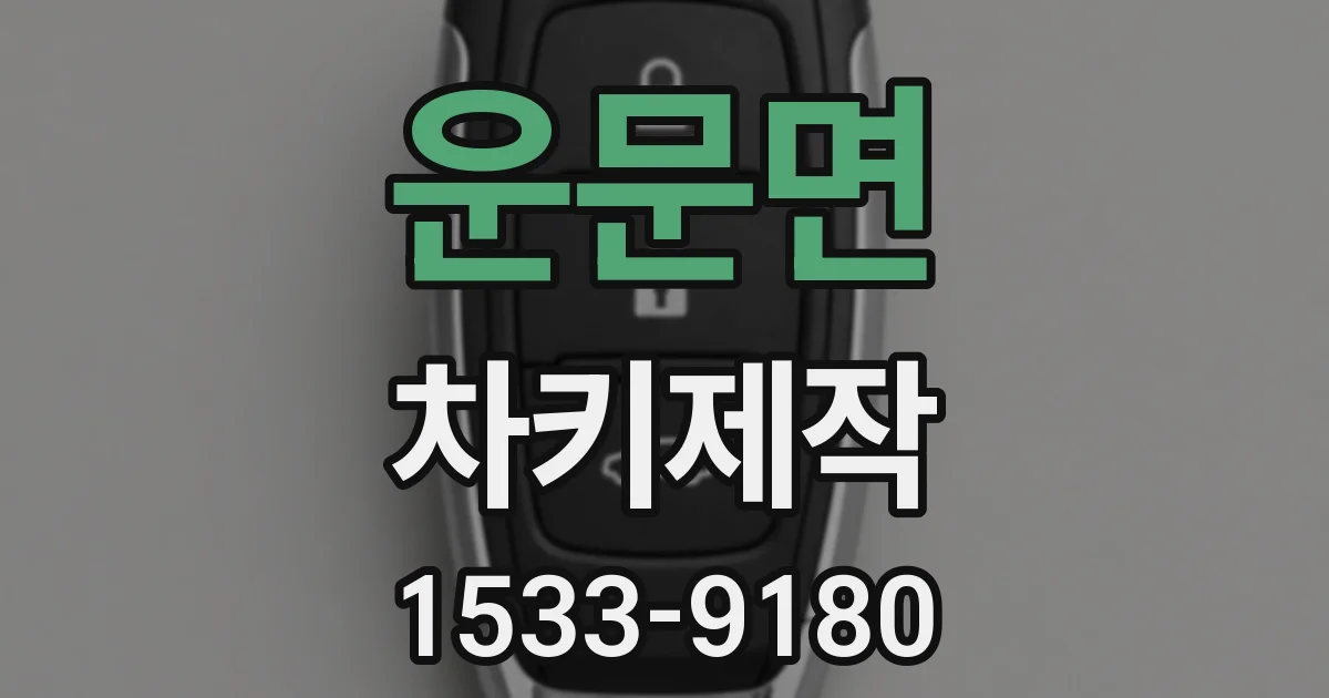운문면 차키제작