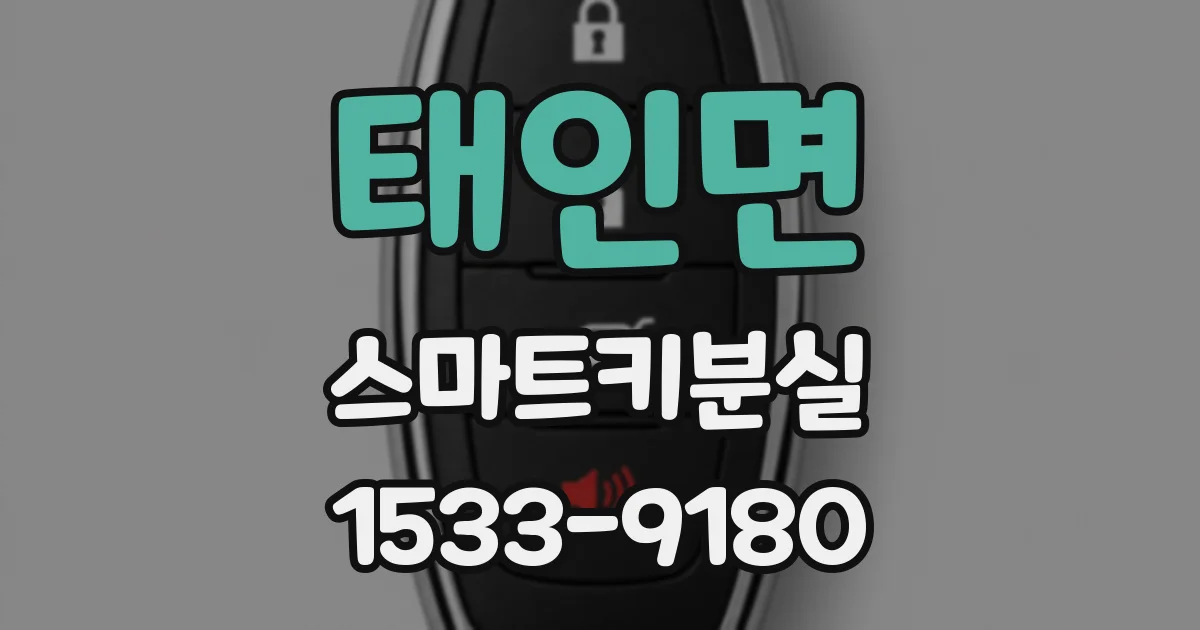 태인면 스마트키분실