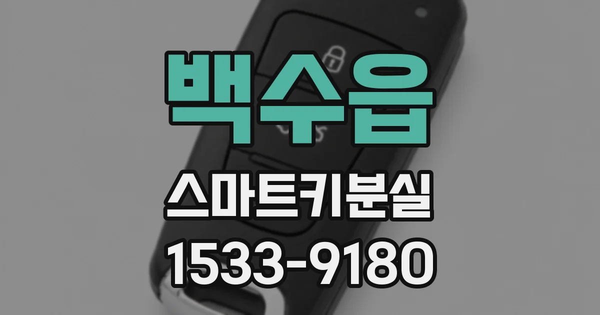 백수읍 스마트키분실