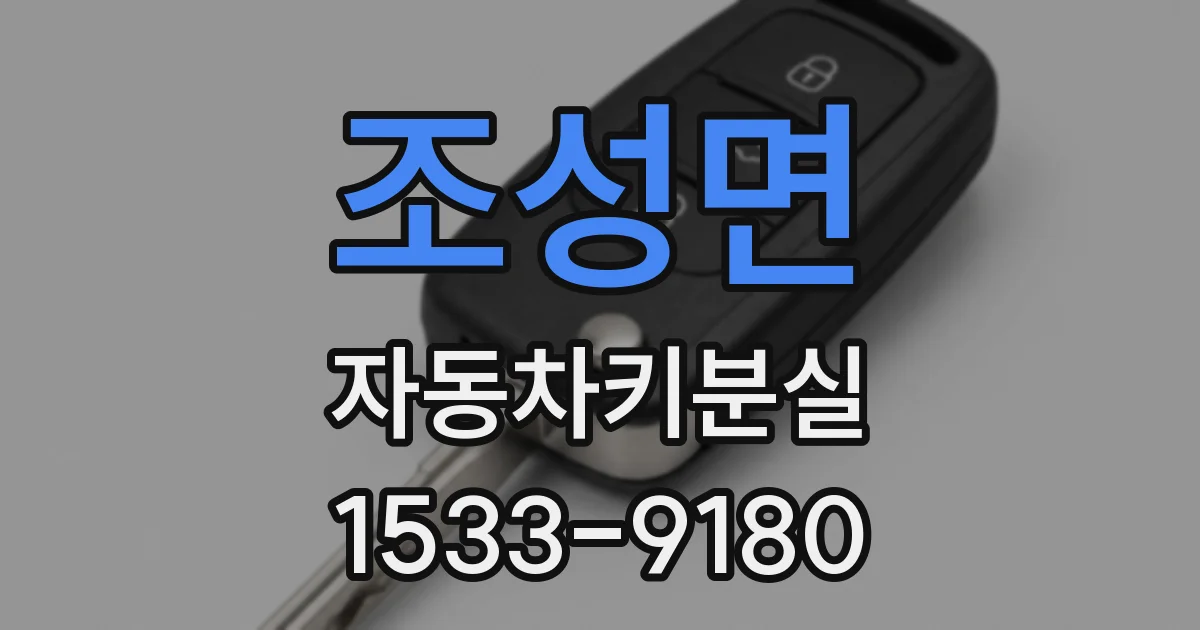 조성면 자동차키분실