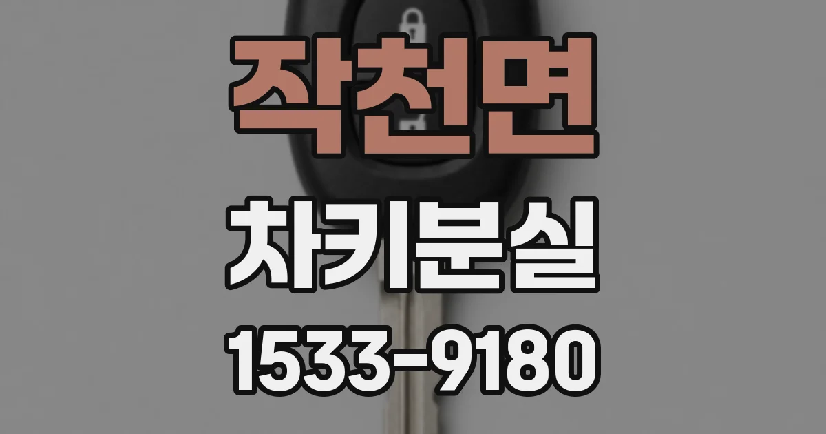 작천면 차키분실