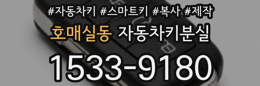 호매실동 자동차키분실