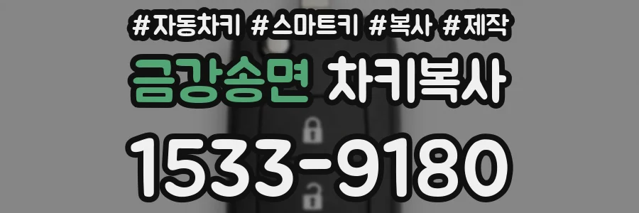 금강송면 차키복사