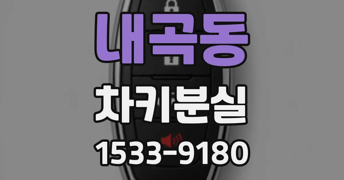 내곡동 차키분실