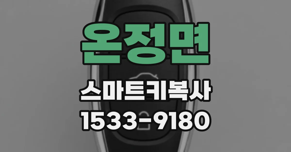 온정면 스마트키복사