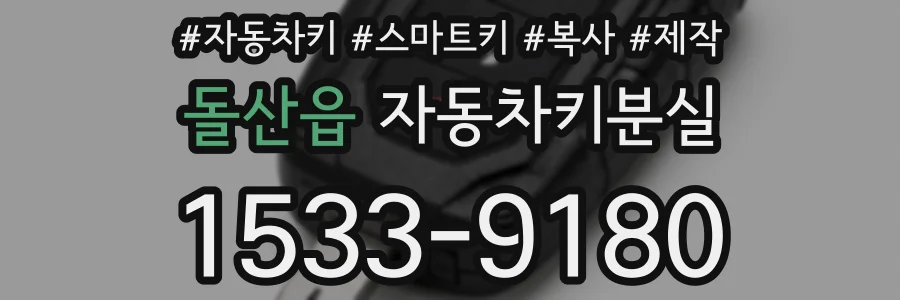 돌산읍 자동차키분실