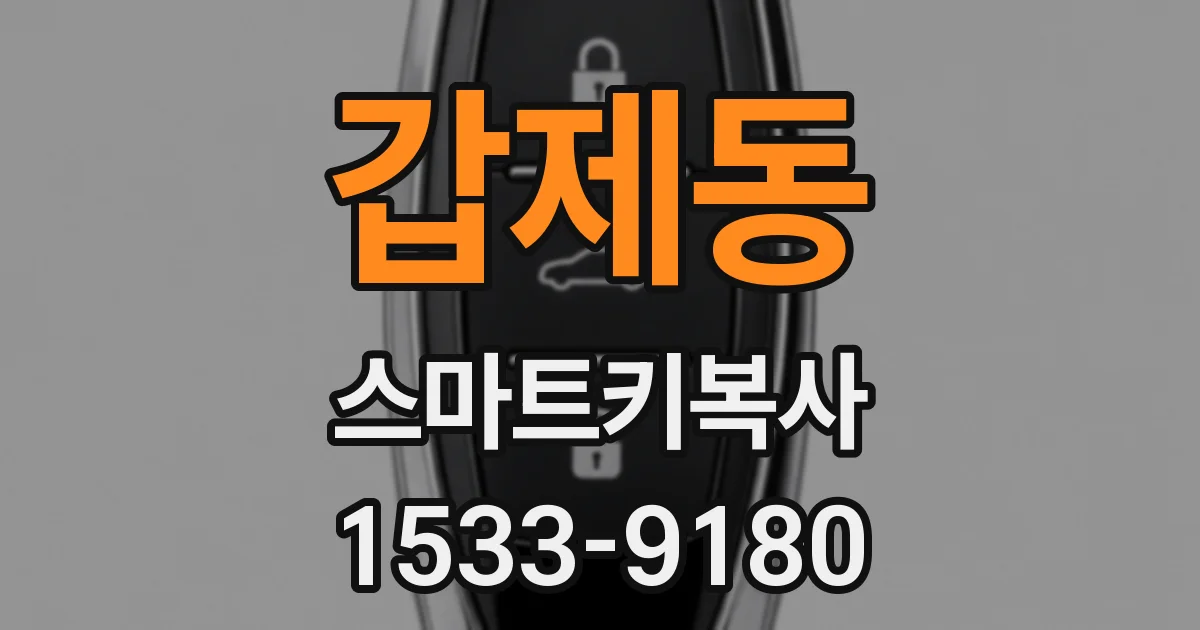 갑제동 스마트키복사