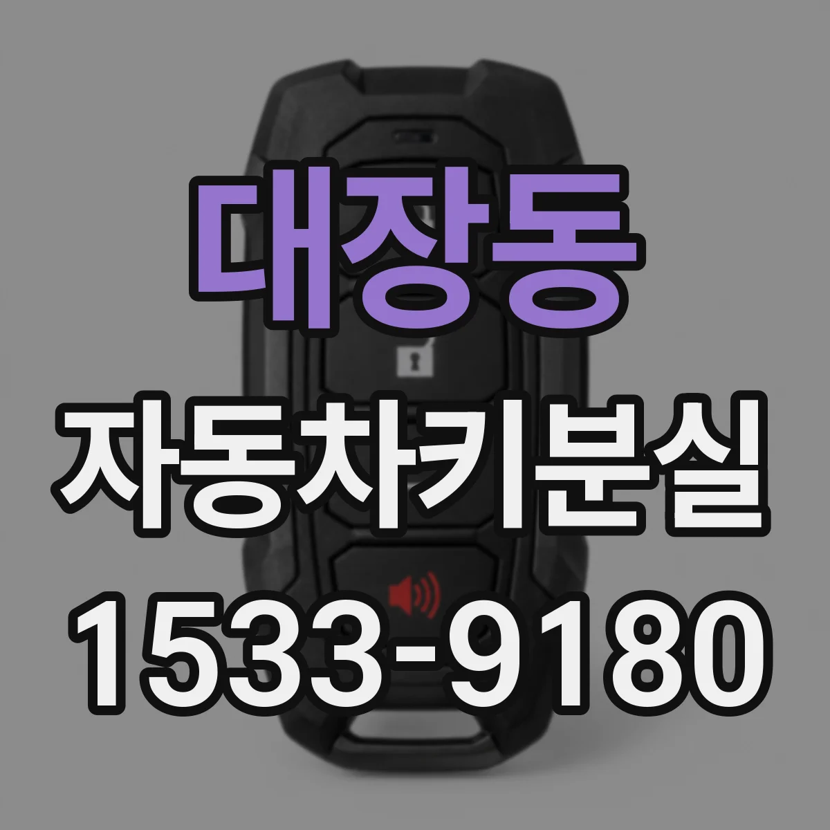 대장동 자동차키분실