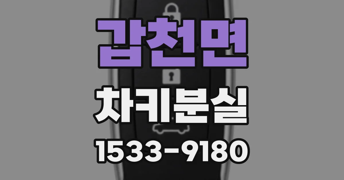 갑천면 차키분실