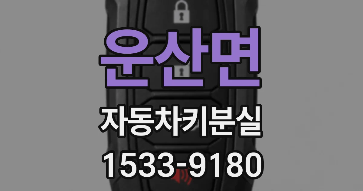 운산면 자동차키분실