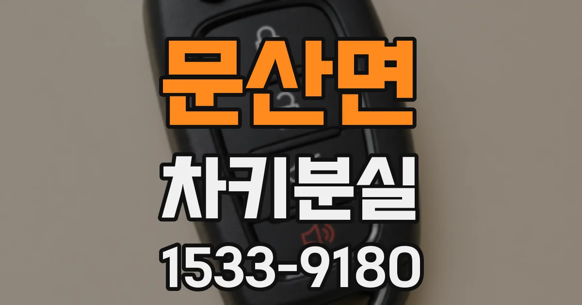 문산면 차키분실