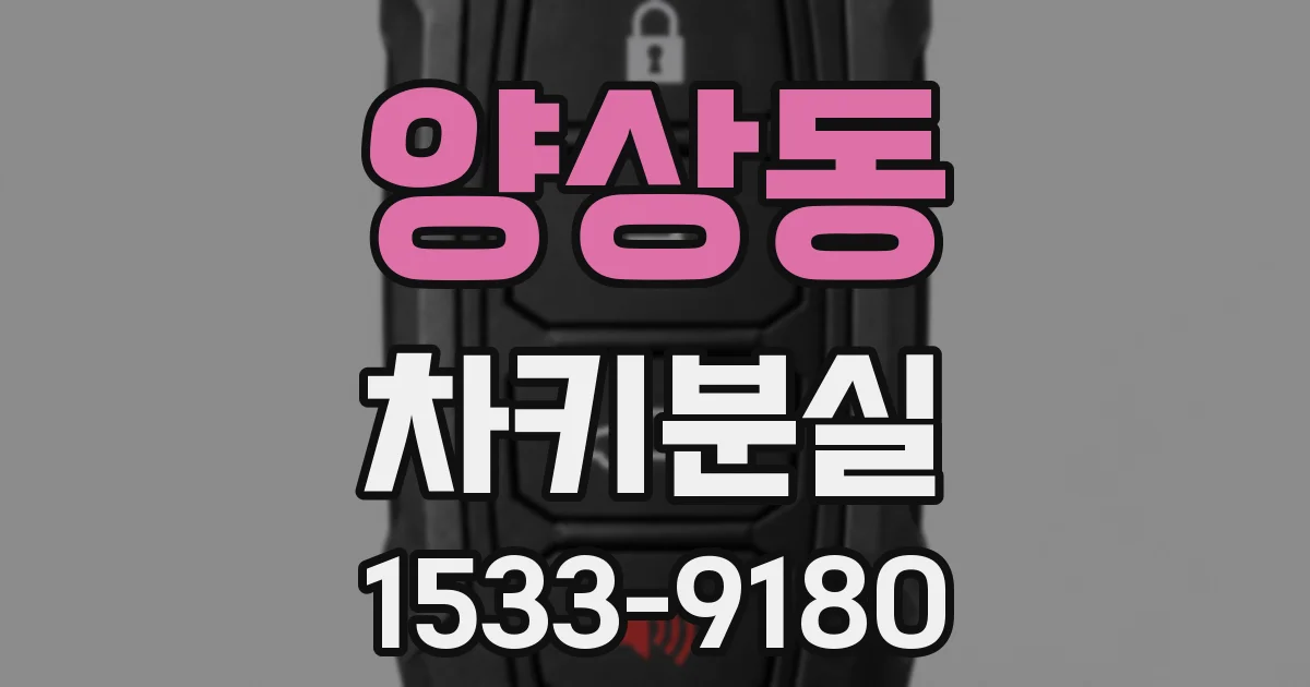 양상동 차키분실