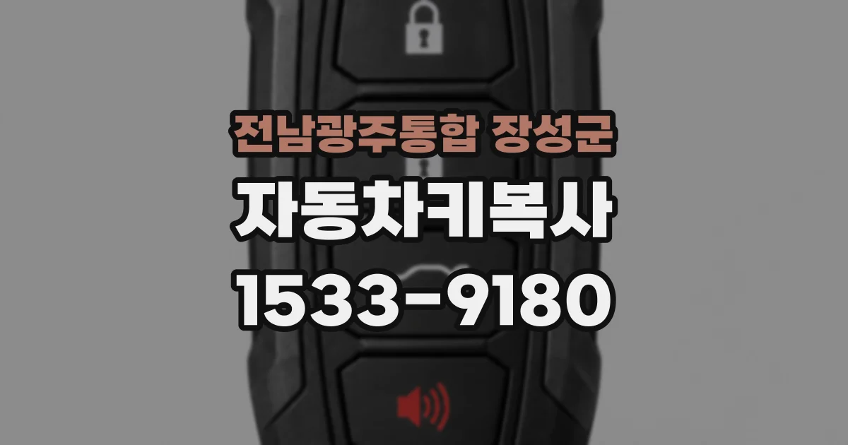 전남광주통합 장성군 자동차키복사