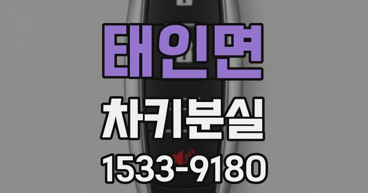 태인면 차키분실