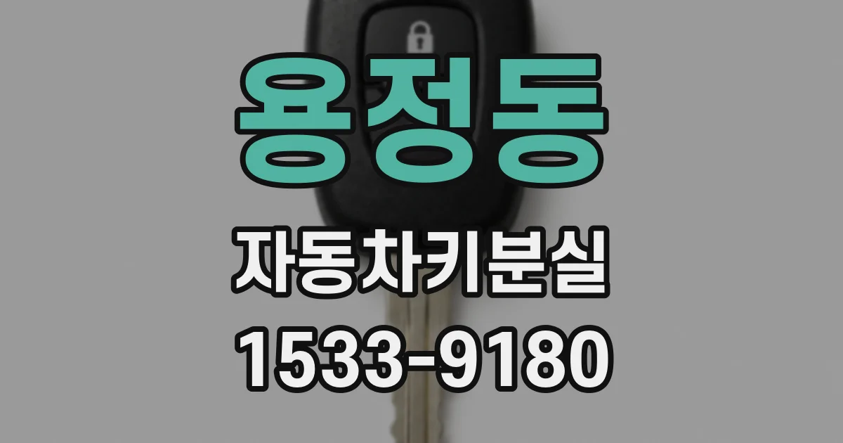 용정동 자동차키분실