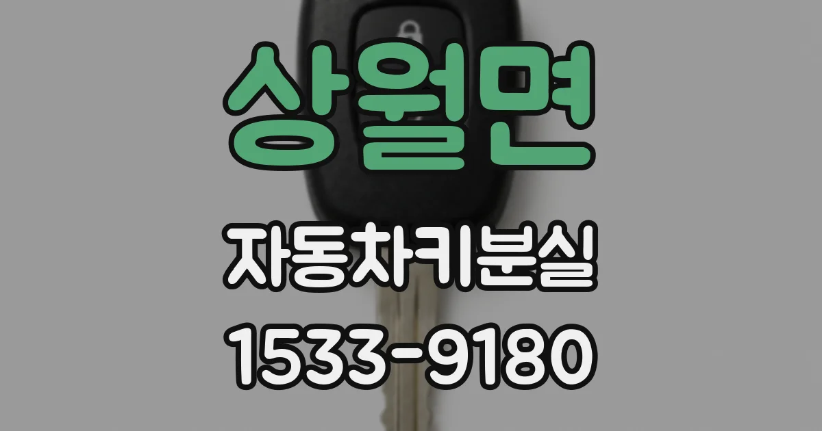 상월면 자동차키분실