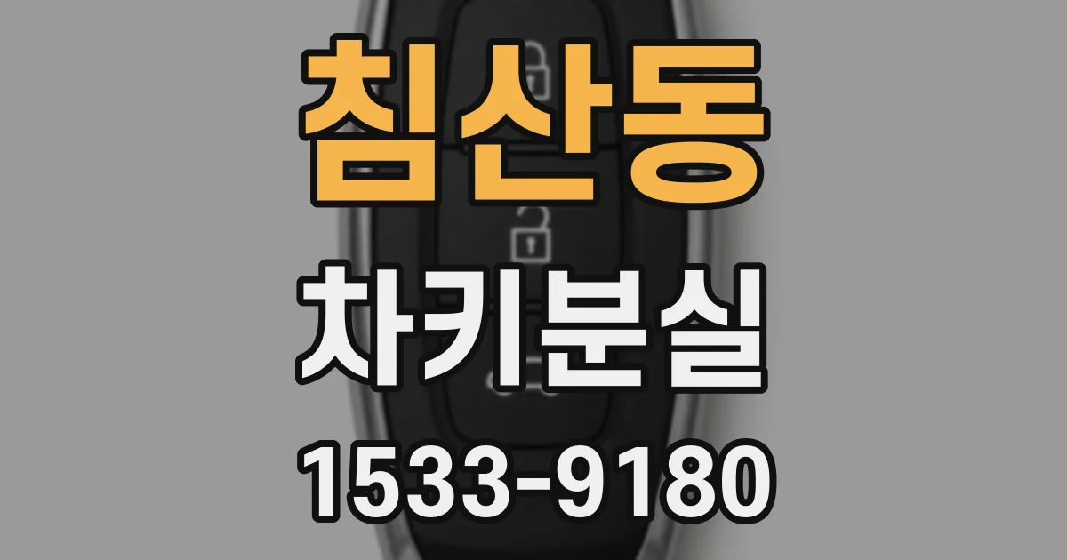 침산동 차키분실