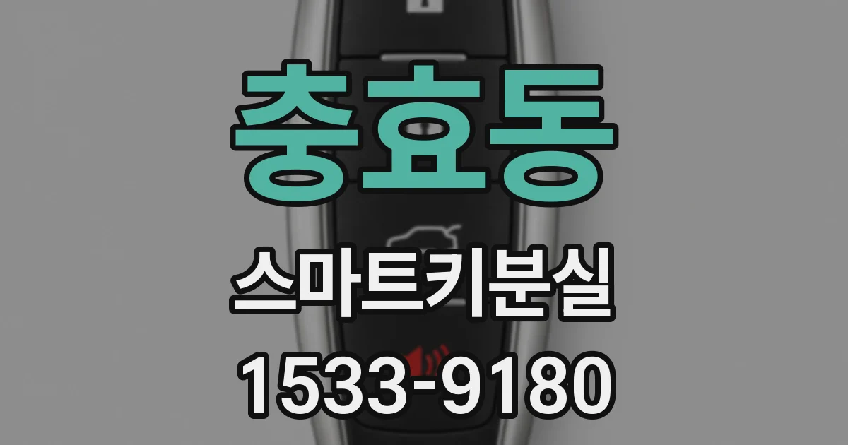 충효동 스마트키분실