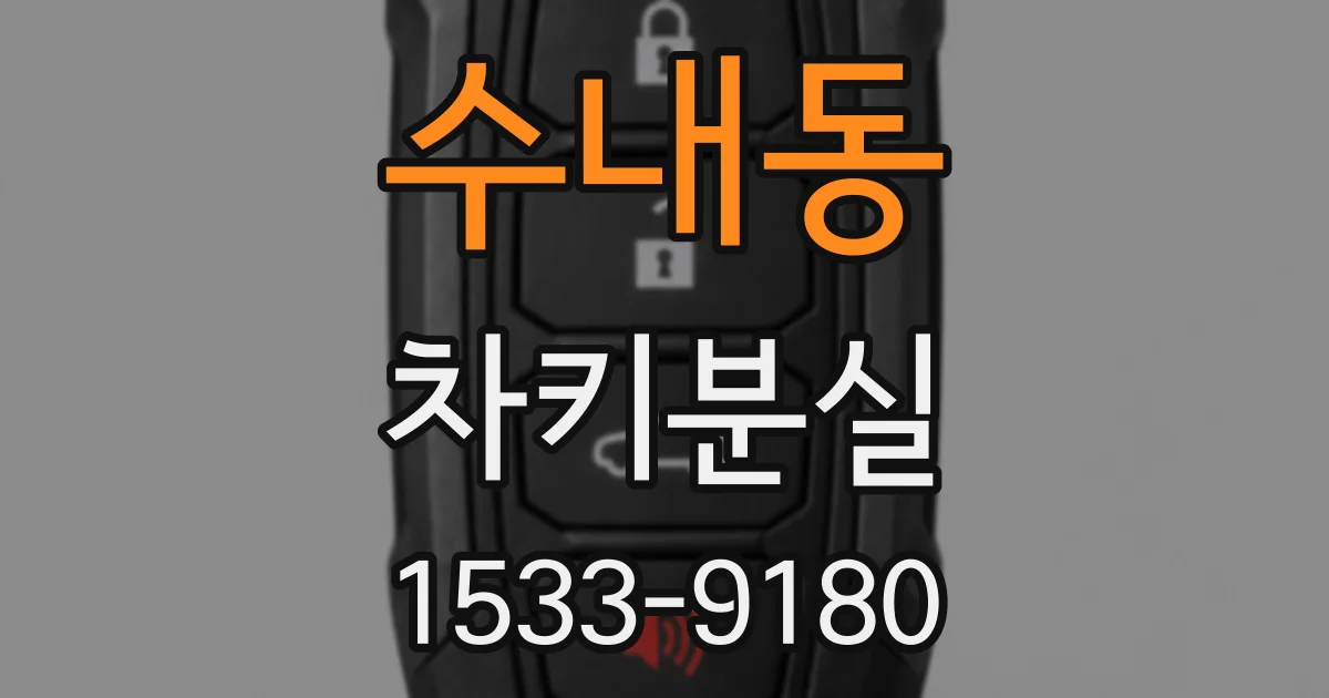 수내동 차키분실