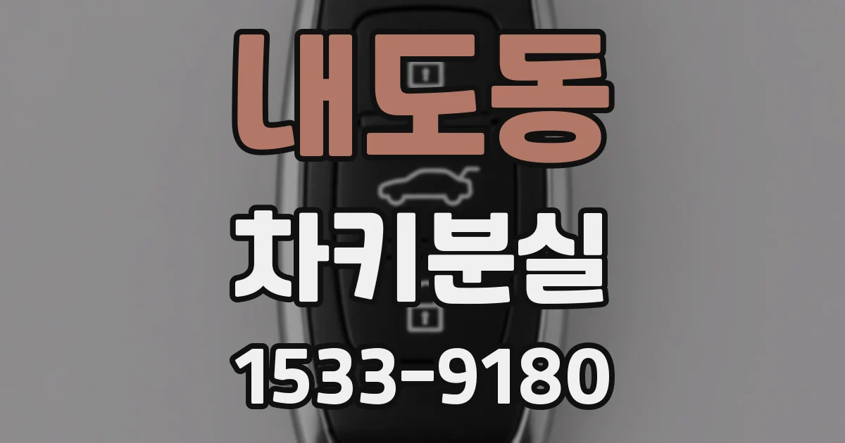 내도동 차키분실