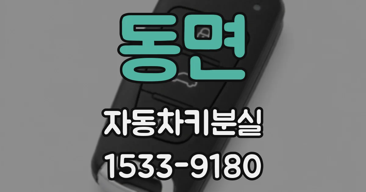 동면 자동차키분실