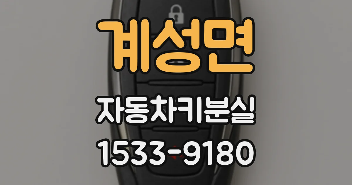 계성면 자동차키분실