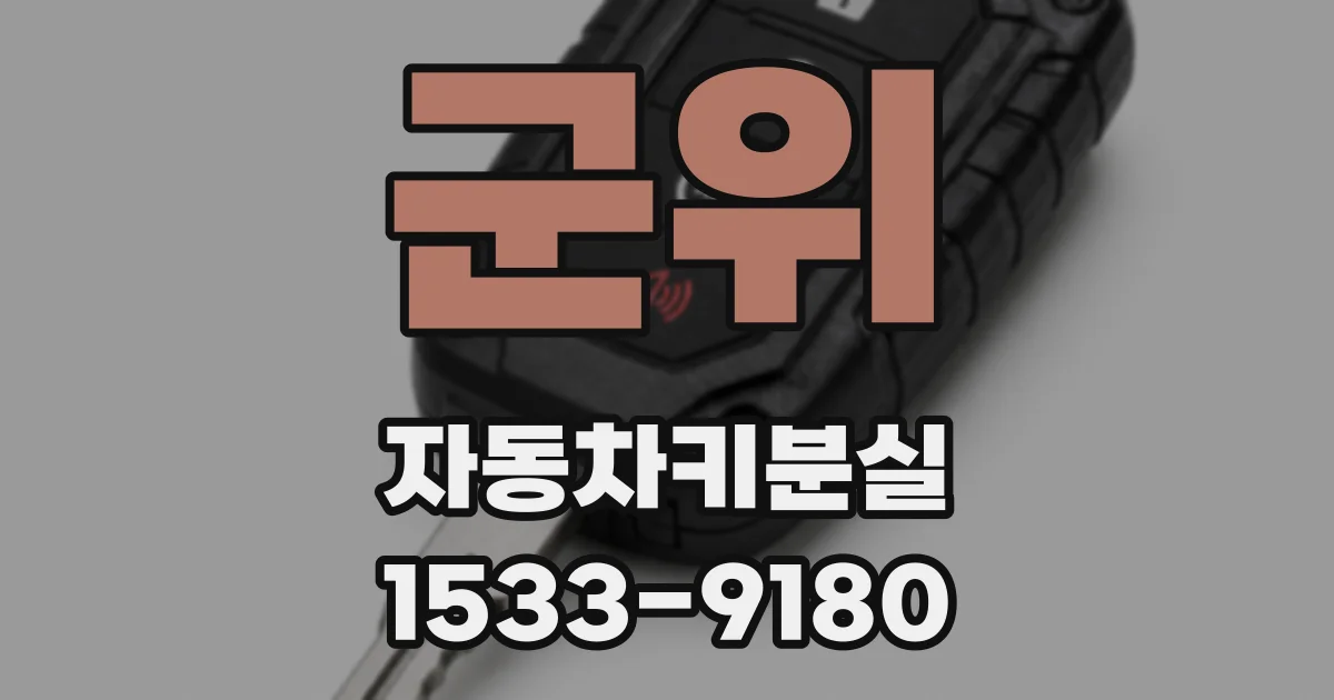 군위 자동차키분실