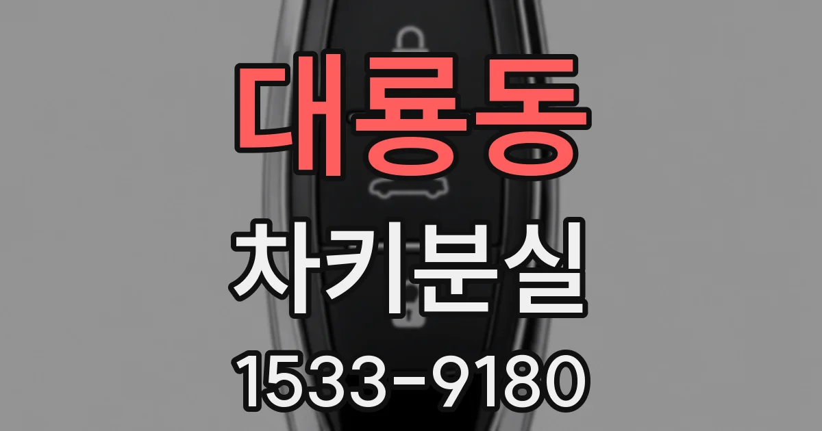대룡동 차키분실