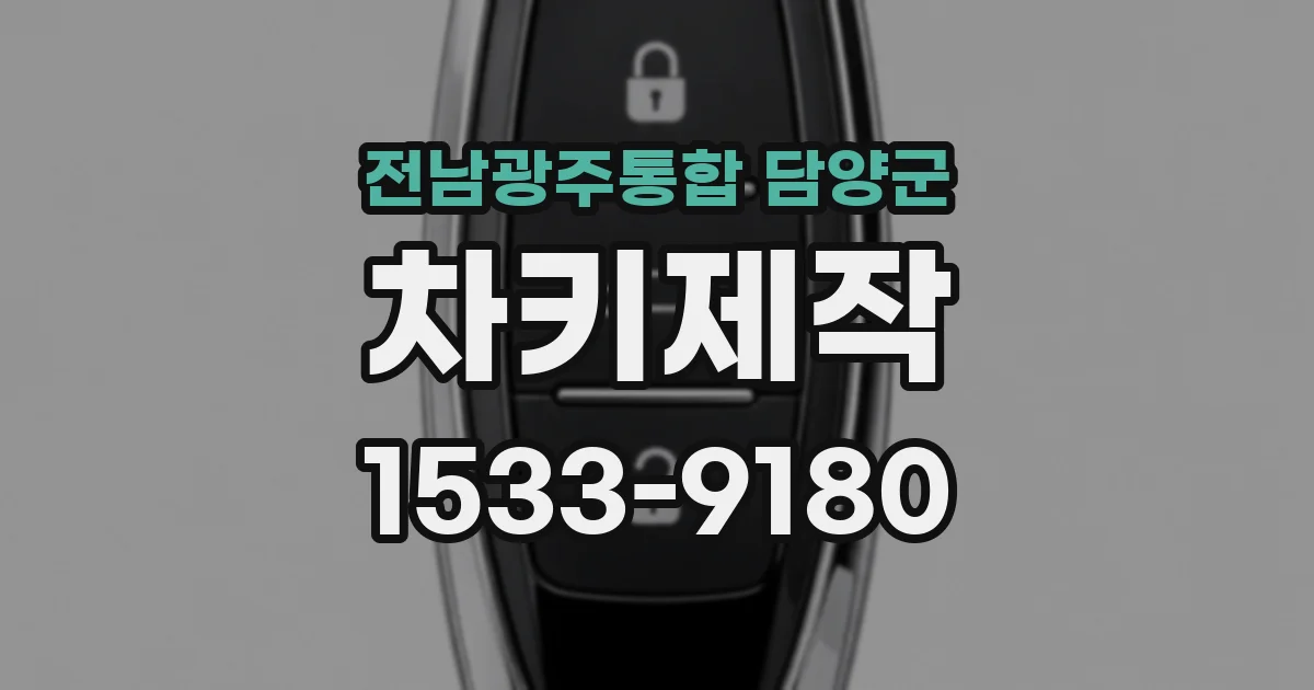 전남광주통합 담양군 차키제작