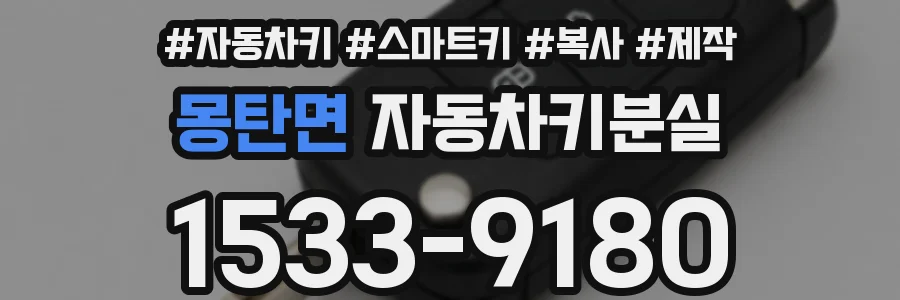 몽탄면 자동차키분실