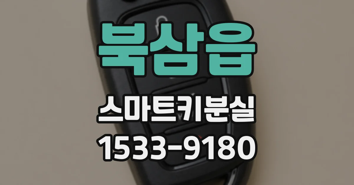북삼읍 스마트키분실