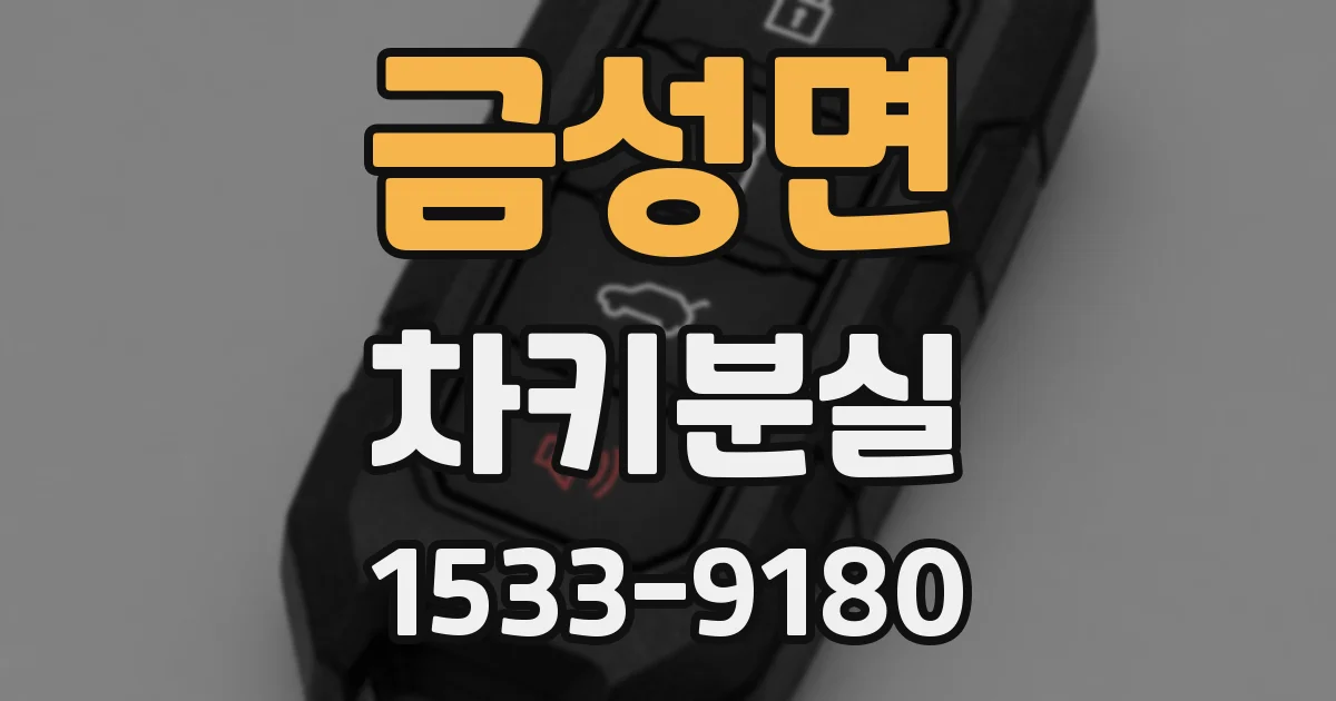 금성면 차키분실
