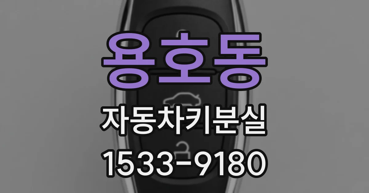 용호동 자동차키분실