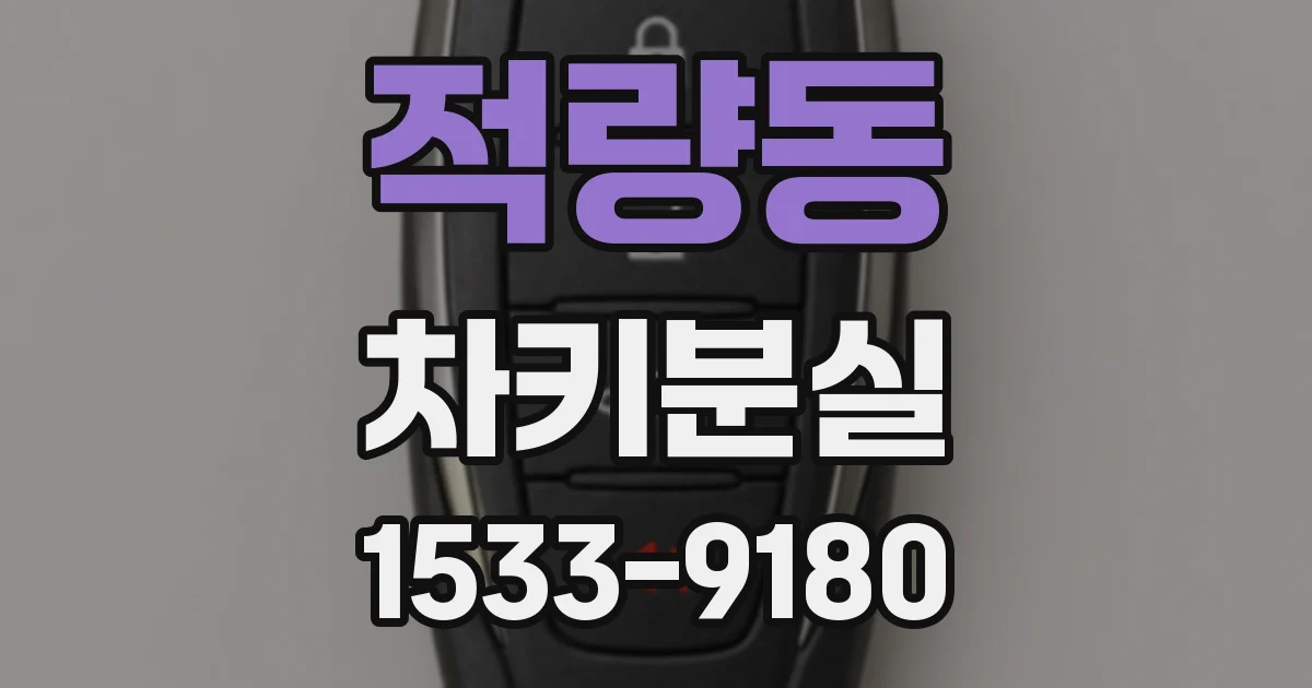 적량동 차키분실
