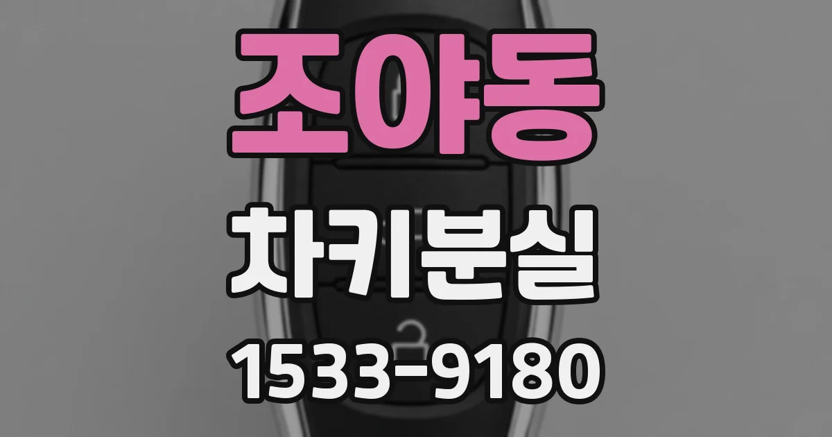 조야동 차키분실