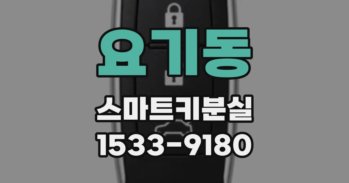요기동 스마트키분실