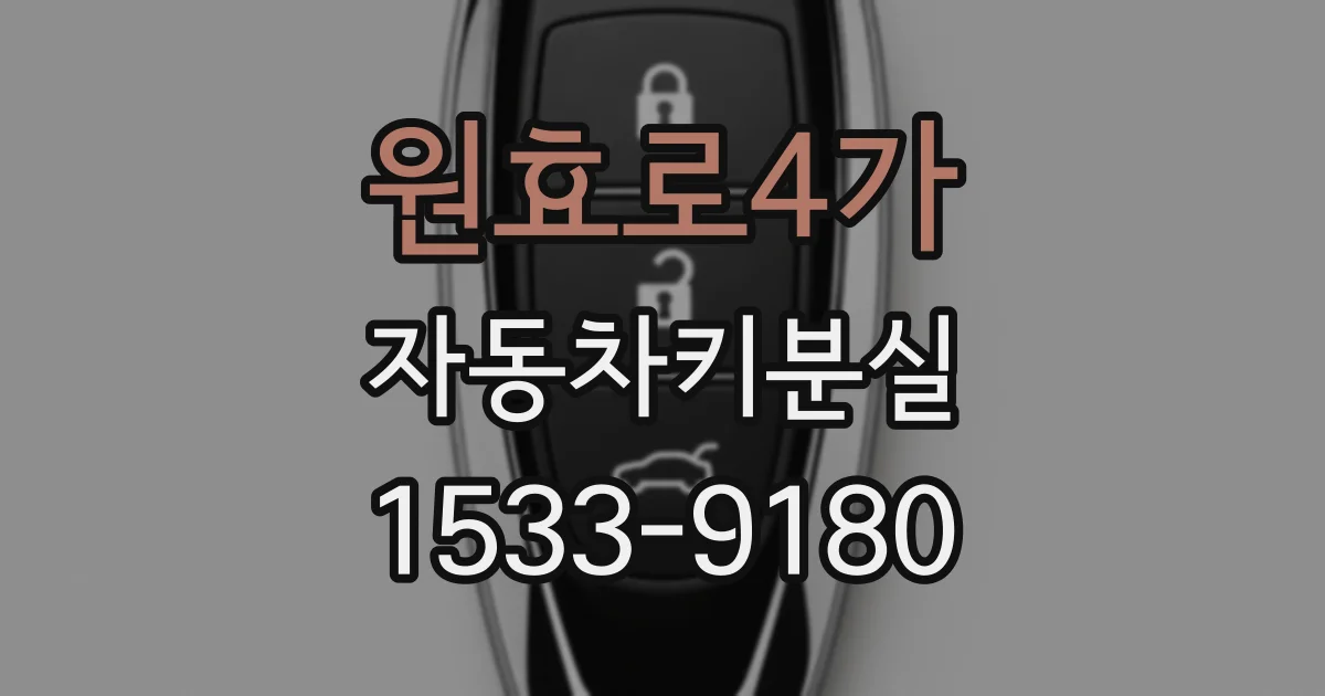 원효로4가 자동차키분실