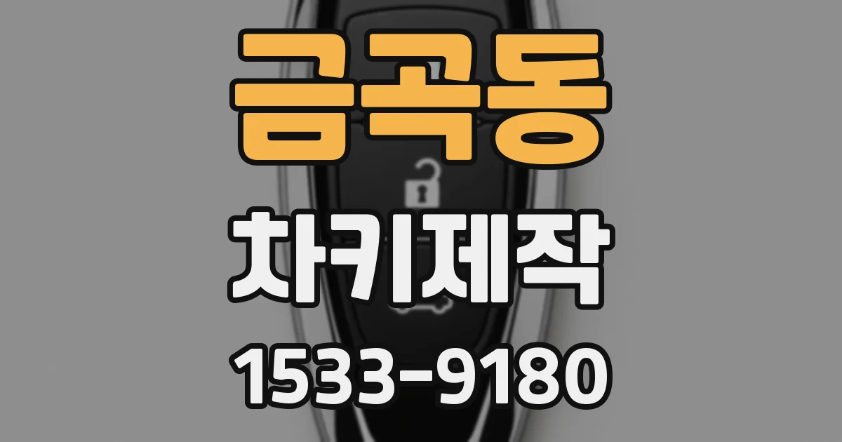 금곡동 차키제작