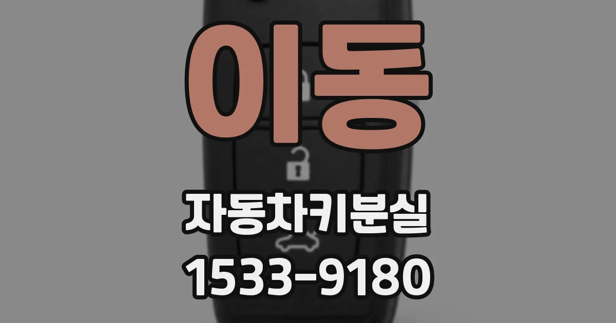 이동 자동차키분실
