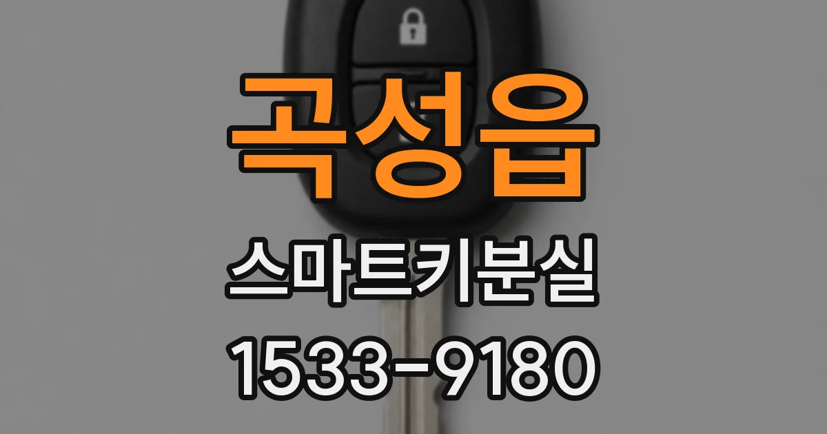 곡성읍 스마트키분실