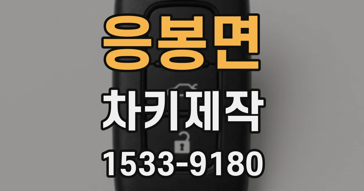 응봉면 차키제작