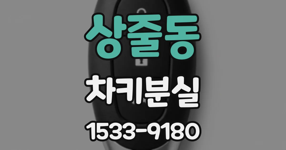 상줄동 차키분실